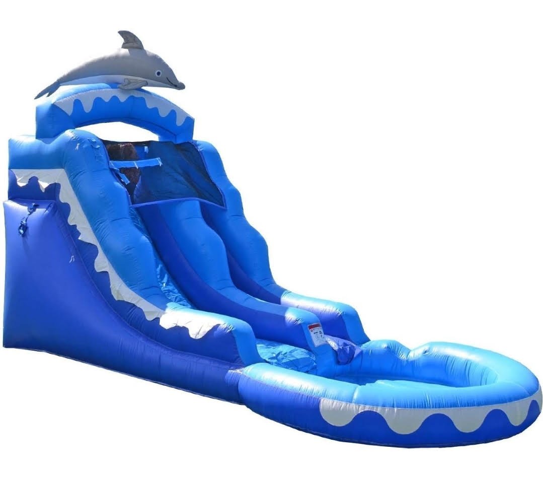 小物 Dolphinsohp safari-ltd-100366-atlantic-